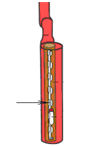 Ветрикальный держатель для криопробирок CRYOPAL, ACC-BOXETUBE-411