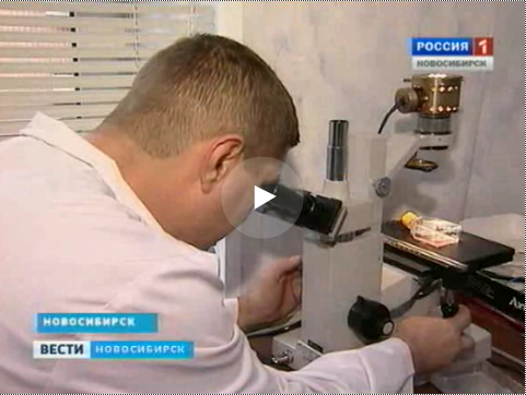 Новости: Ученые из новосибирского института иммунологии создали вакцину от рака